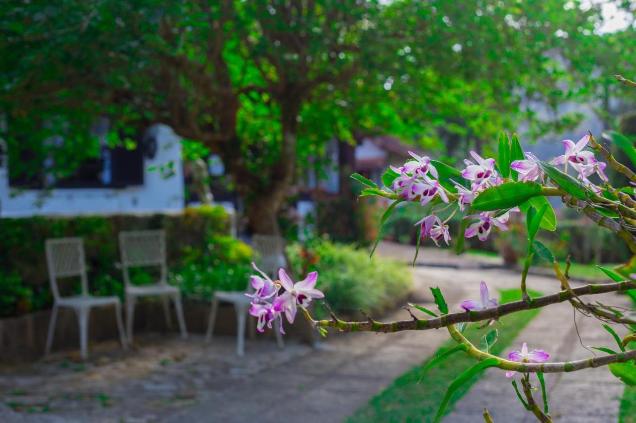 Pousada Taverna Do Golf Teresópolis Zewnętrze zdjęcie