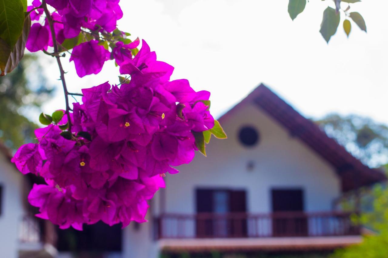 Pousada Taverna Do Golf Teresópolis Zewnętrze zdjęcie